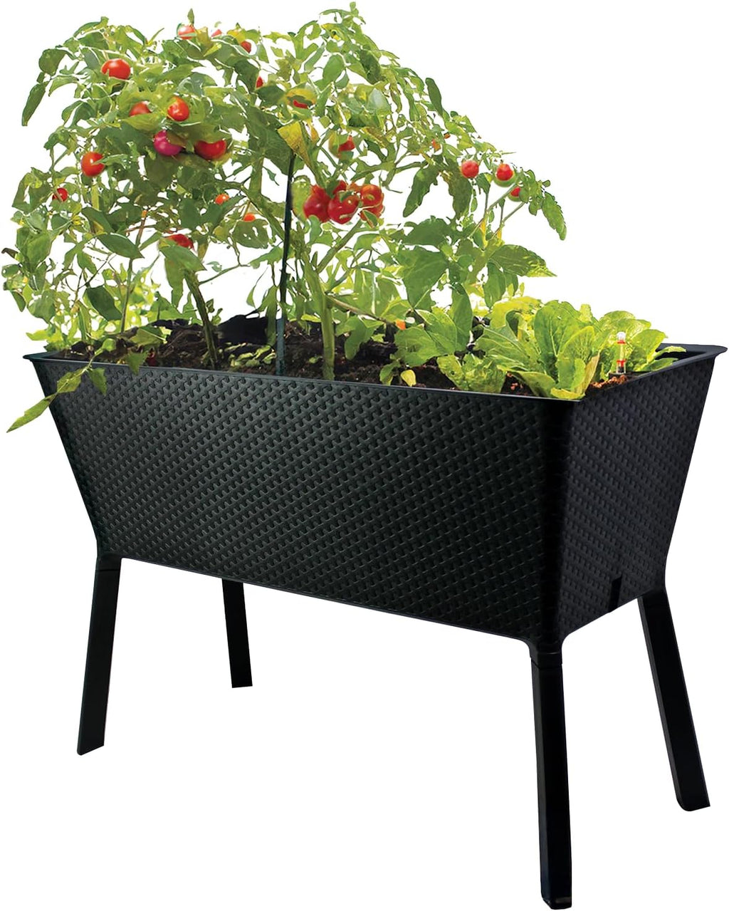 XL Self-Watering Elevated Planter