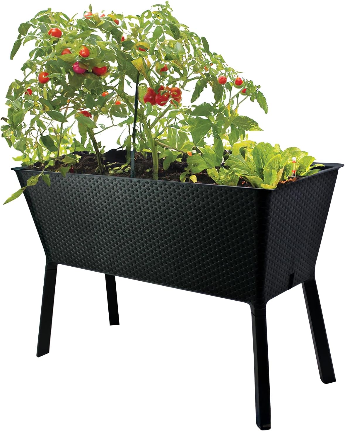 XL Self-Watering Elevated Planter